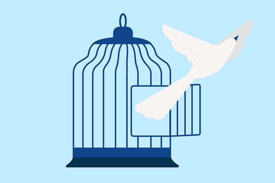 How Legal Technology is Changing the Path to Exoneration How Legal Technology is Changing the Path to Exoneration